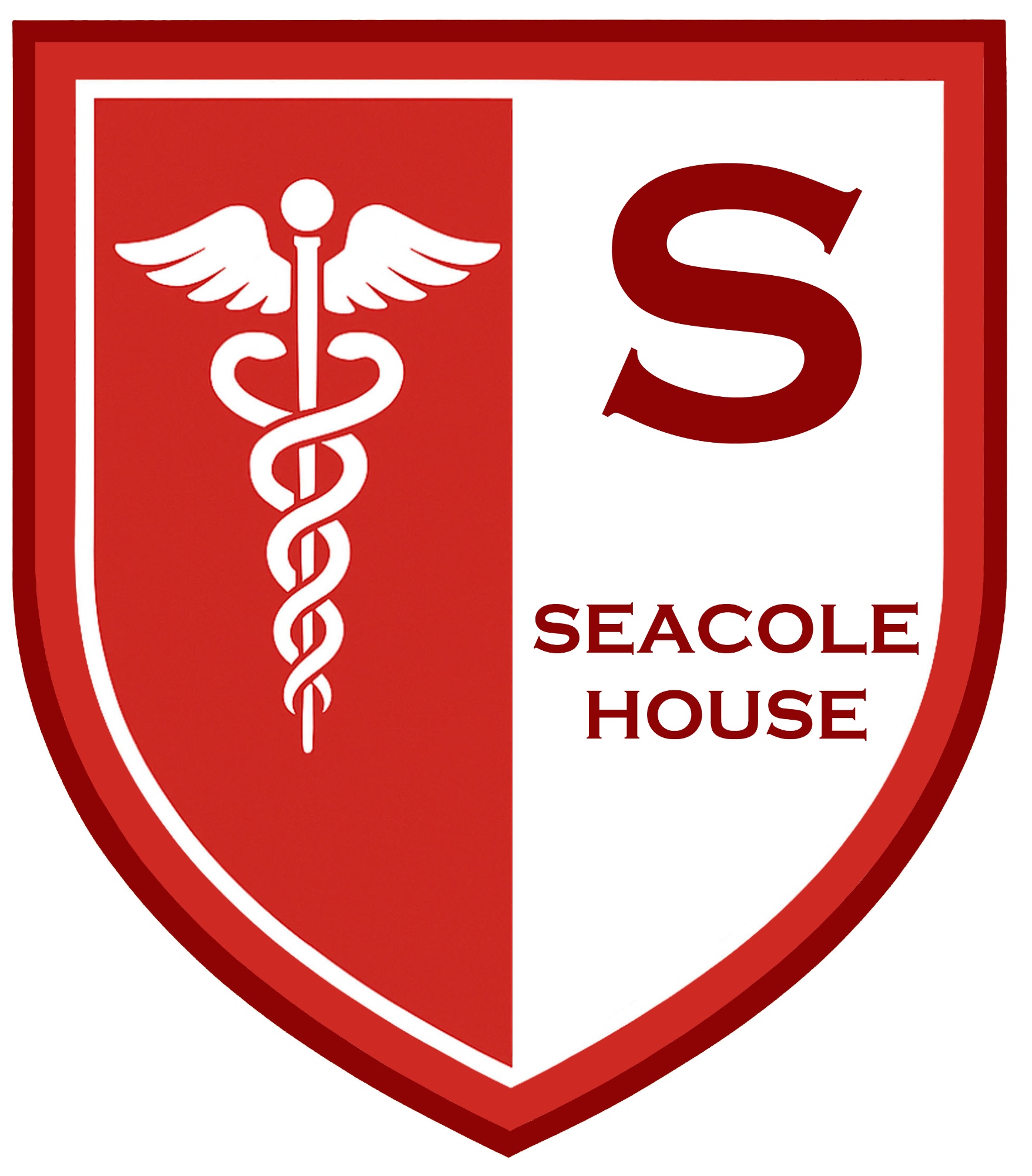 Seacole image