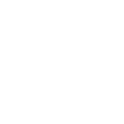 The Blue Coat School